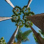 Oasis De Capistrano, Calle Palmas 24 B * נרחה
