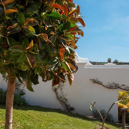 Oasis De Capistrano, Calle Palmas 24 B נרחה