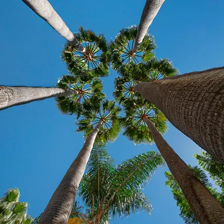 Oasis De Capistrano, Calle Palmas 24 B * Nerja