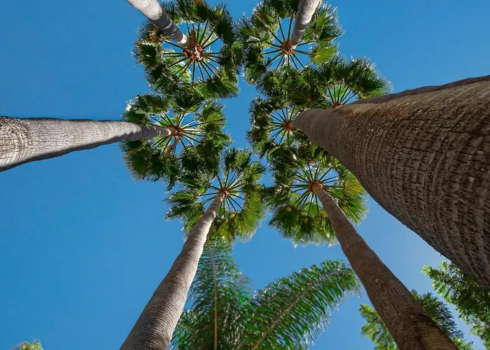 Oasis De Capistrano, Calle Palmas 24 B * Nerja